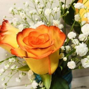 Best in Sweaters & Tops Party 🎉